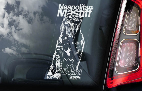 Neapolitan Mastiff on Board - Car Window Sticker - Mastino Napoletano Dog Sign Decal - V01