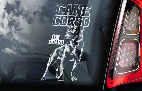 Cane Corso on Board - Car Window Sticker - Beware of the Dog - Italian Mastiff Sign Decal  -V02