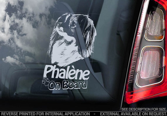 Phaléne on Board - Car Window Sticker - Epagneul Nain Phalene Dog Sign Decal - V02