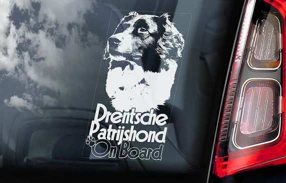 Drentsche Patrijshond on Board - Car Window Sticker - Dutch Partridge Dog Sign Gift Decal - V02