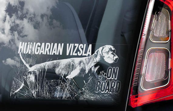 Vizsla on Board - Car Window Sticker - Magyar Hungarian Pointer Dog Sign Decal - V04