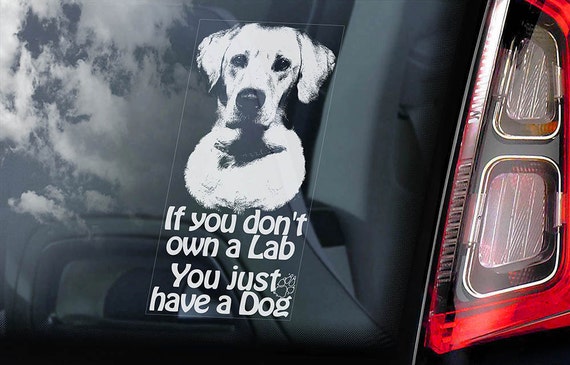 Labrador - Car Window Sticker - 'If you don't own a Lab, you just have a Dog!' - Dog Sign Decal  -V10