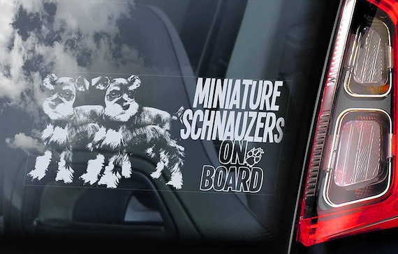 Miniature Schnauzers on Board - Car Window Sticker - Zwergschnauzer Dwarf Dog Sign Decal - V06