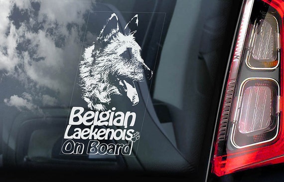 Belgian Laekenois on Board - Car Window Sticker - Shepherd Dog Sign Decal Art Gift - V01