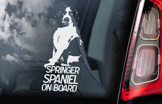 Springer Spaniel on Board - Car Window Sticker - English Dog Sign Decal -V01