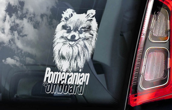 Pomeranian on Board - Car Window Sticker - Pom Dog Zwergspitz Deutscher Spitz Sign Decal -V03