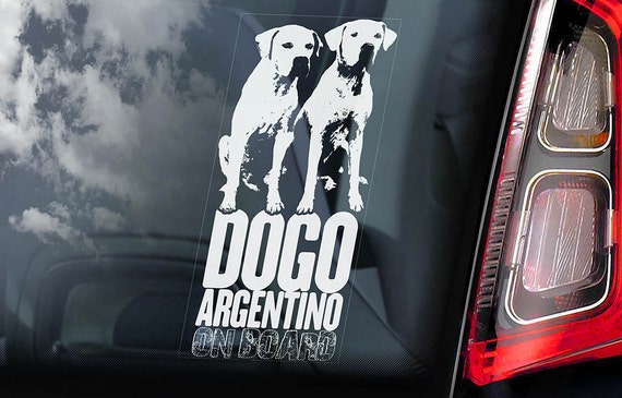 Dogo Argentino on Board - Car Window Sticker - Argentine Mastiff Sign Gift Decal - V04