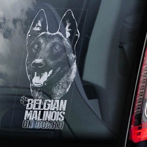 May include: A white sticker on a car window with a black and white image of a Belgian Malinois dog's head and the text "Belgian Malinois On Board".