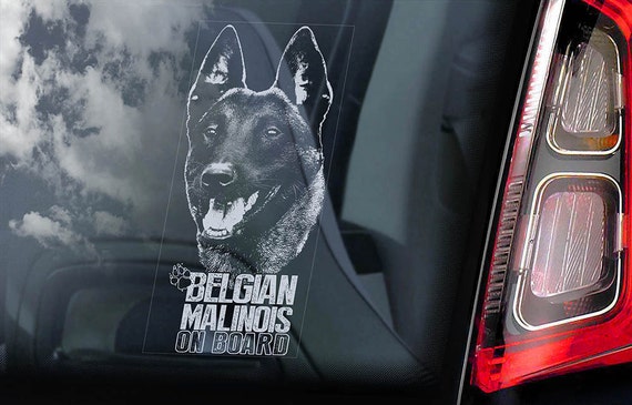 Belgian Malinois on Board - Car Window Sticker - Mechelse Herder Security K9 Dog Sign Decal  -V20