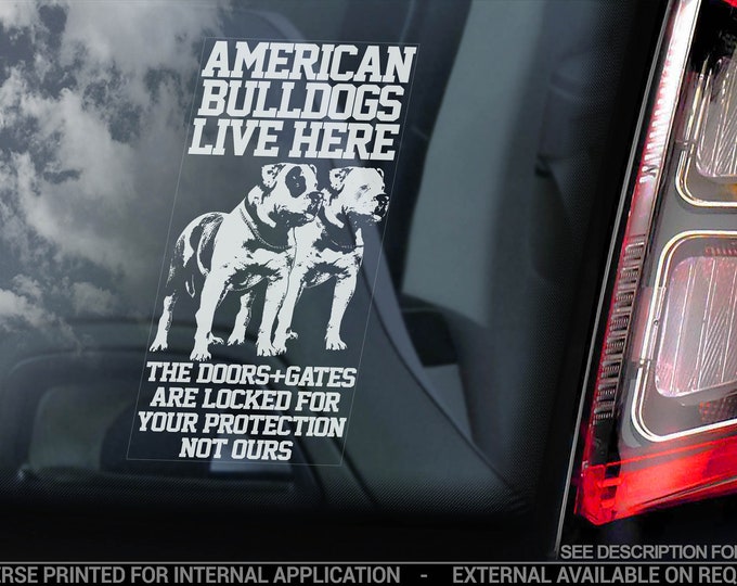 American Bulldogs Live Here - Car Window Sticker - Beware of the Dog Bully Sign Decal - V06