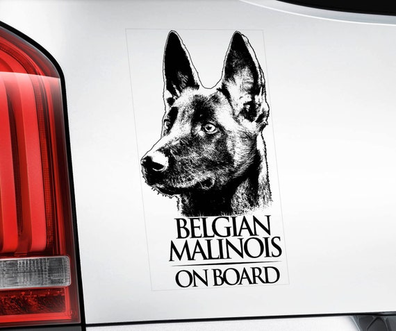 Belgian Malinois on Board - Car Window Sticker - Mechelse Herder Pastor Dog Sign Decal  -V01BLK
