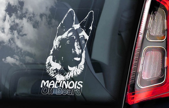 Malinois on Board - Car Window Sticker - Belgian Mechelse Herder Pastor Dog Sign Decal  -V02