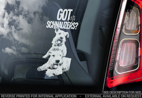 Got Schnauzers? on Board - Car Window Sticker - Standard Miniature Dog Sign Bumper Decal - V07