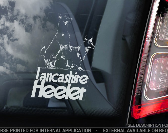 Lancashire Heelers on Board - Car Window Sticker - Ormskirk Terrier Dog Sign Bumper Decal - V03