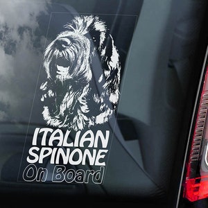 イタリアのスピノーネが乗っている - 車の窓用ステッカー - イタリアーノ・ワイヤーヘアード・ポインター犬用サインデカール - V01