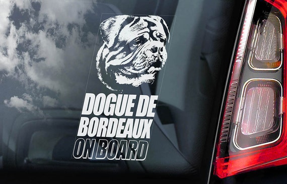 Dogue de Bordeaux on Board - Car Window Sticker - French Mastiff Sign Gift Decal - V01