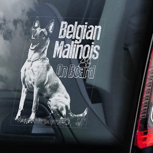 Puede incluir: Pegatina de vinilo blanco con una imagen en blanco y negro de un perro pastor belga malinois sentado. El texto "Belgian Malinois On Board" está impreso en blanco en la pegatina.