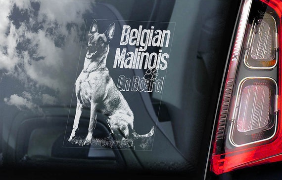 Belgian Malinois on Board - Car Window Sticker - Mechelse Herder Security K9 Dog Sign Decal  -V15