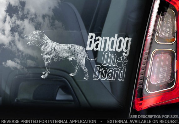 Standard Dog Sign Decal Art Gift V04 Schnauzer on Board Car Window Sticker 