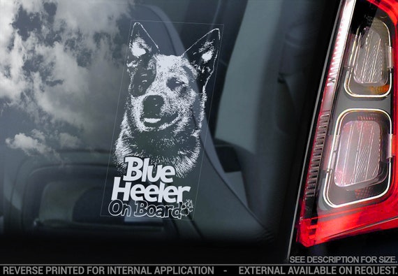 Blue Heeler on Board - Car Window Sticker - Australian Cattledog Sign Decal Gift - V01