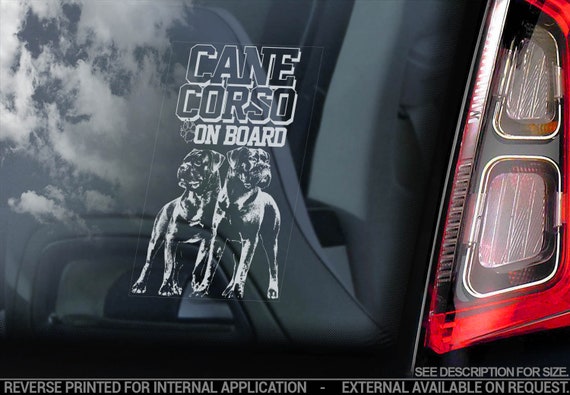 Cane Corso on Board - Car Window Sticker - Beware of the Dog - Italian Mastiff Corsos Sign Decal - V12