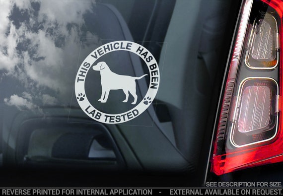 Lab Tested - Car Window Sticker - Labrador Retriever on Board Dog Sign Bumper Decal - V02