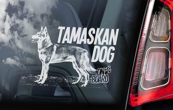 Tamaskan Dog on Board - Car Window Sticker - Tam Husky Sign Decal - V04