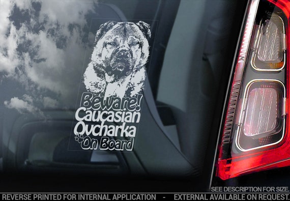 Caucasian Ovcharka on Board - Car Window Sticker -  Mountain Sheep Dog Shepherd Sign Decal - V04
