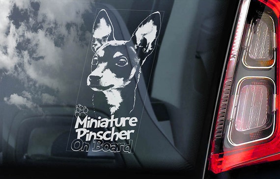 Miniature Pinscher on Board - Car Window Sticker - Zwergpinscher Min Pin Dog Sign Decal - V03