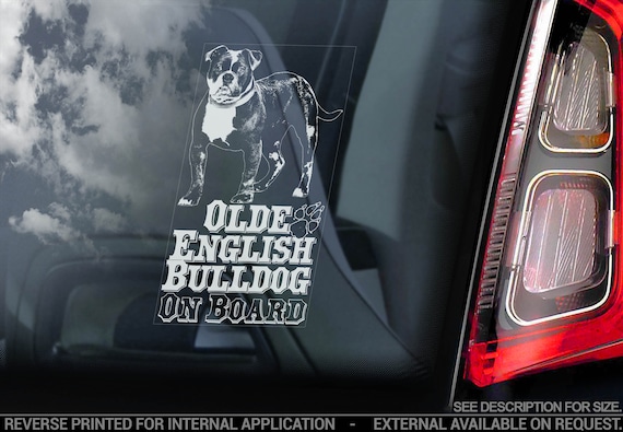 Olde English Bulldog on Board - Car Window Sticker - Old Bully Sign Bumper Decal - V02