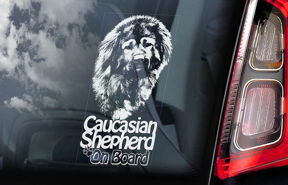 Caucasian Shepherd on Board - Car Window Sticker -  Ovcharka Mountain Sheep Dog Sign Decal - V02