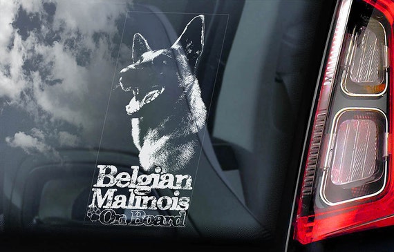Belgian Malinois on Board - Car Window Sticker - Mechelse Herder Security K9 Dog Sign Decal  -V14
