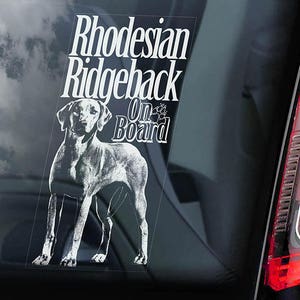 ローデシアン・リッジバック・オン・ボード - 車の窓用ステッカー - アフリカン・ライオン・ドッグ サイン デカール - V02