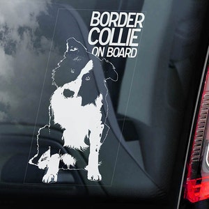 Border Collie on Board - Car Window Sticker - Dog Sign Scottish Sheepdog Decal  -V01