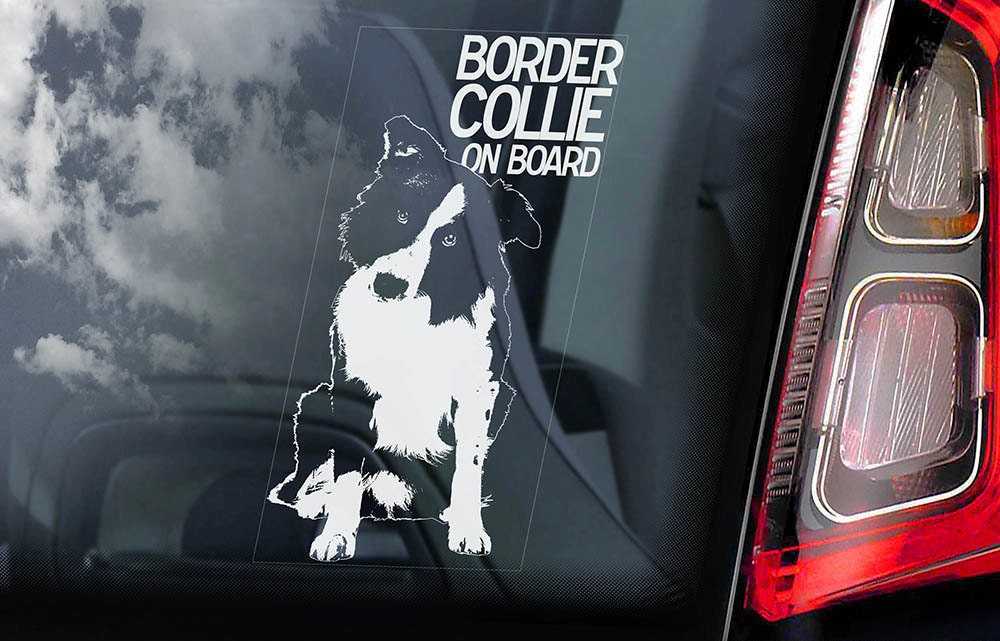 MUEdie 13X10CM Lustiges Haustier Hund Aufkleber Border Collie 3D