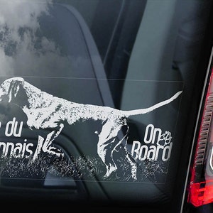 May include: White silhouette of a Braque du Bourbonnais dog with the text "Braque du Bourbonnais" and "On Board" on a car window.