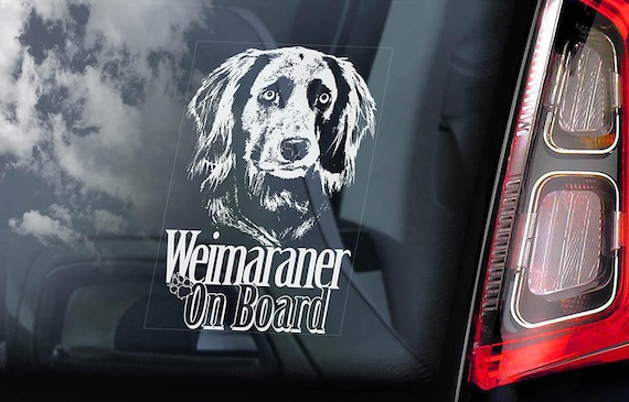 Weimaraner on Board - Car Window Sticker - Vorstehhund Dog Sign Decal - V02
