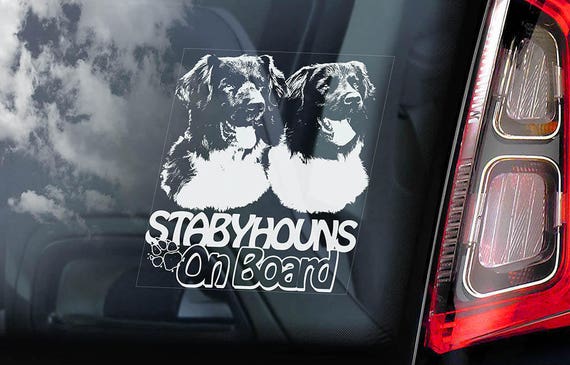 Stabyhouns on Board - Car Window Sticker - Stabyhoun Stabij Beike Dog Sign Decal - V03