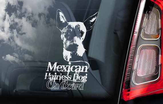 Mexican Hairless Dog on Board - Car Window Sticker - Xoloitzcuintli Xolo Dog Sign Decal - V01