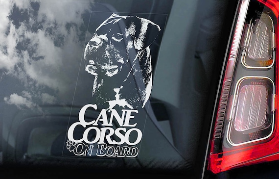 Cane Corso on Board - Car Window Sticker - Beware of the Dog - Italian Mastiff Sign Decal  -V04