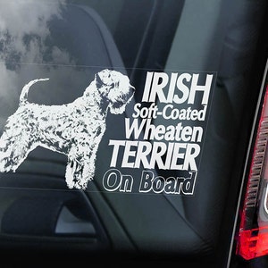アイリッシュ・ソフトコーテッド・ウィートン・テリアが車に乗っている - 車の窓用ステッカー - 犬の看板用デカール - V01