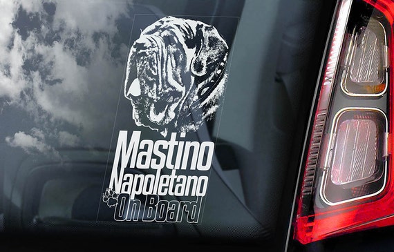Mastino Napoletano on Board - Car Window Sticker - Neapolitan Mastiff Dog Sign Decal - V01