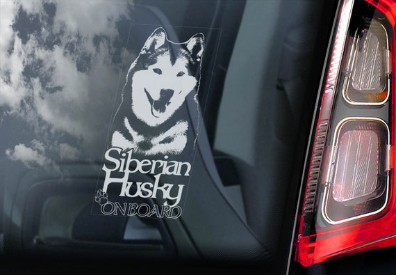 Siberian Husky on Board - Car Window Sticker - Huskie Sled Dog Sign Decal -V10