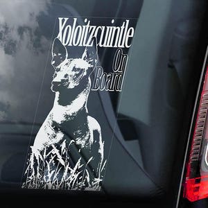 Xoloitzcuintle on Board - Car Window Sticker - Xolo Dog Sign Decal Mexican Hairless Dog Xoloitzcuintli - V01