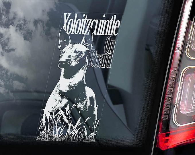Xoloitzcuintle on Board - Car Window Sticker - Xolo Dog Sign Decal Mexican Hairless Dog Xoloitzcuintli - V01