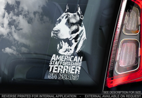 American Staffordshire Terrier on Board - Car Window Sticker - Staffie Staffy Bull Dog Sign Decal Gift - V12