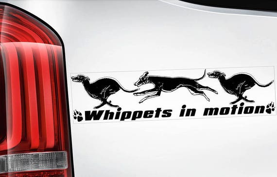 Whippets in Motion - Car Sticker - English Whippet Snap Dog on Board Sign Decal - V05BLK