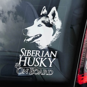 Op de afbeelding: Witte auto sticker voor het raam met een zwart-witte afbeelding van een Siberische Husky. De tekst "Siberian Husky On Board" staat onder de afbeelding.