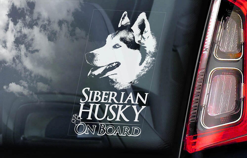 Siberian Husky on Board Car Window Sticker Huskie Sled Dog Sign Decal V01