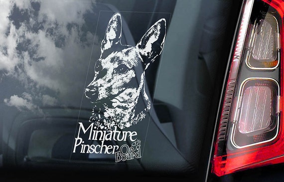 Miniature Pinscher on Board - Car Window Sticker - Zwergpinscher Min Pin Dog Sign Decal - V02